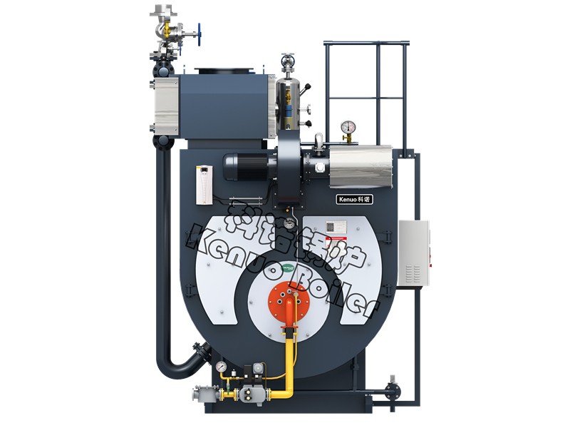 環(huán)保行業(yè)燃?xì)忮仩t的優(yōu)劣勢(shì)分析